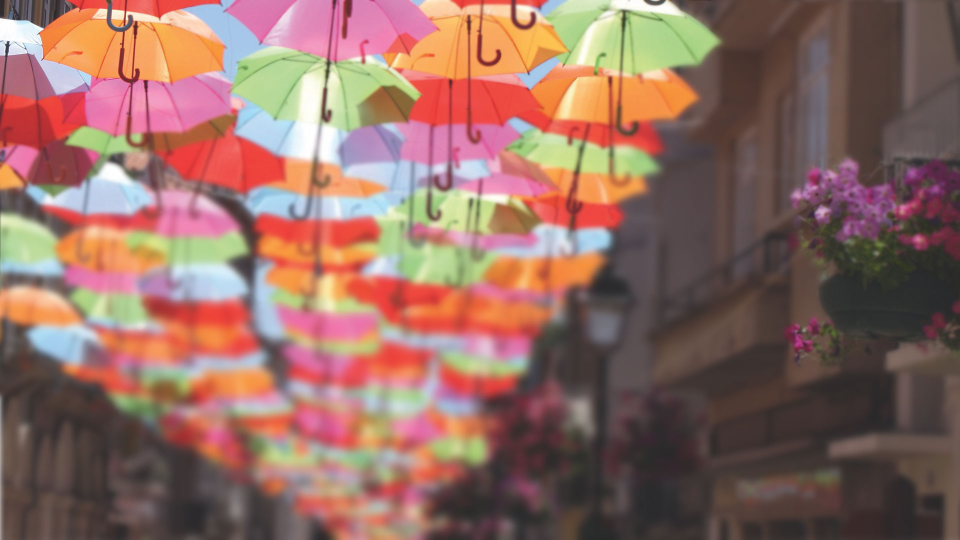 background-image