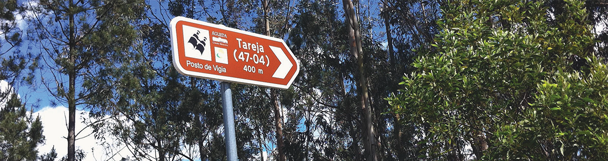 Walk in Águeda